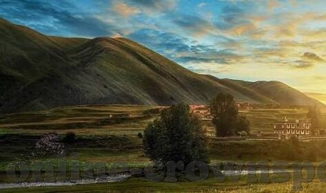 2010世界杯海报-2010世界杯海报，足球盛宴的视觉盛宴