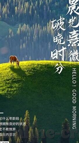 足球比分网007-足球比分网007，球迷的实时数据宝藏库