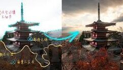 足球比分文字500-足球比分背后，500字难以承载的热血与梦想