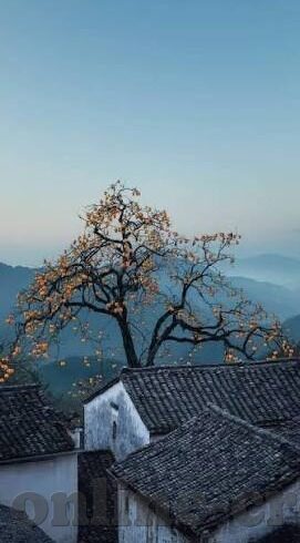 足球点球即时比分-足球点球大战，即时比分背后的心跳博弈与传奇瞬间